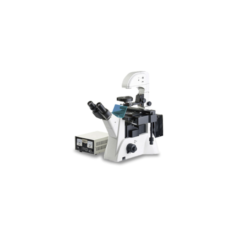 Microscope à fluorescence inversée