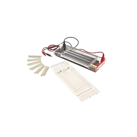 Système d'électrophorèse de gel horizontal TP-SP3 - électrophorèse rapide à 96 échantillon avec arrêt automatique