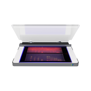 Transilluminateur UV LED 302 nm pour l'imagerie et la coupe du gel ADN / ARN | Conception compacte et faible