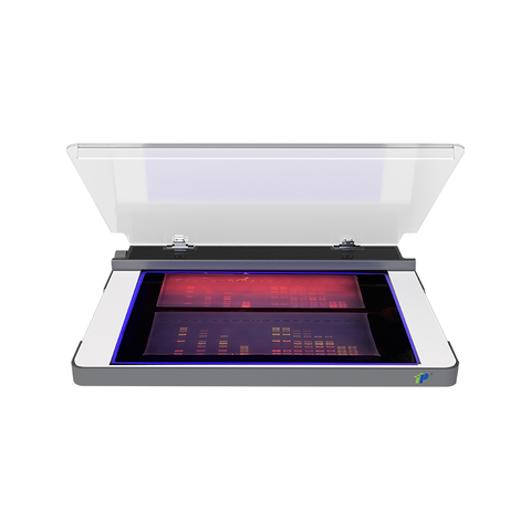 Transilluminateur UV LED 302 nm pour l'imagerie et la coupe du gel ADN / ARN | Conception compacte et faible