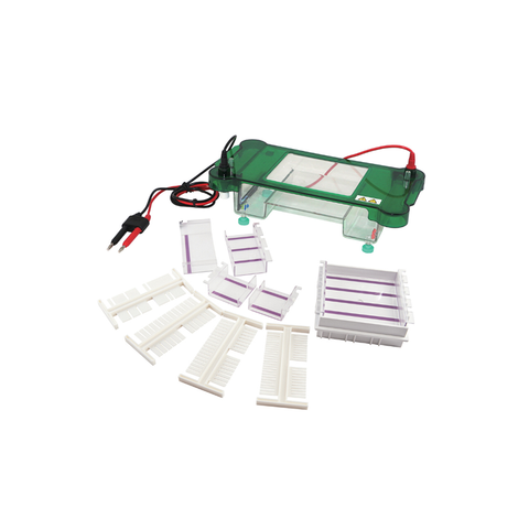 Système d'électrophorèse de gel horizontal TP-SPCT - Réservoir à plusieurs échantillons avec couvercle de sécurité et tampon stable