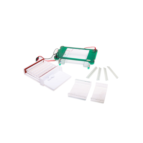Système d'électrophorèse de gel horizontal TP-SPGT avec plusieurs tailles de gel et couvercle de sécurité automatique