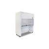 Banc propre vertical, TS-CJ-2FB