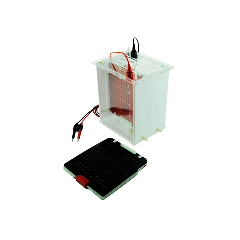 Unité de transfert d'électrophorèse de gel horizontal TP-YY2 avec dispositif de refroidissement, zone de transfert 175 × 175 mm
