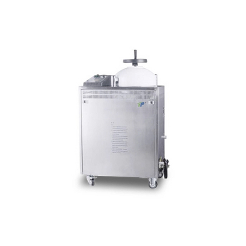 Stérilisateur de vapeur d'autoclave verticale de type à main