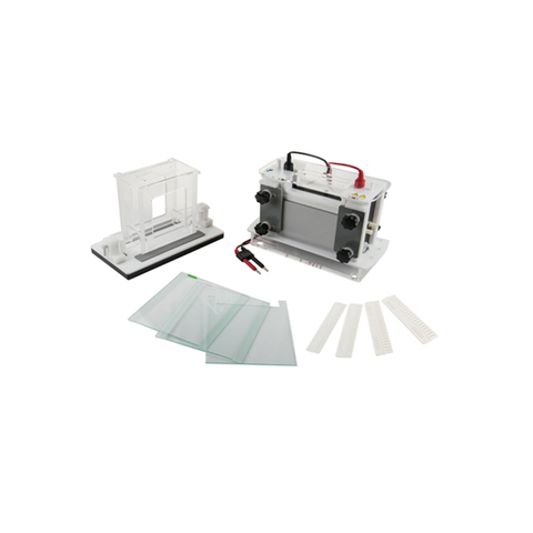 Système d'électrophorèse sur gel vertical TP-SCZ9 pour la séparation des protéines, capacité de 2 gel avec cassettes de noyau modulaire et contrôle de la température