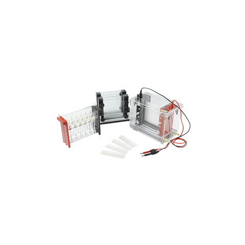 Système d'électrophorèse bidimensionnel TP-SX3 pour la séparation des protéines | Électrophorèse 2D IEF et SDS-PAGE