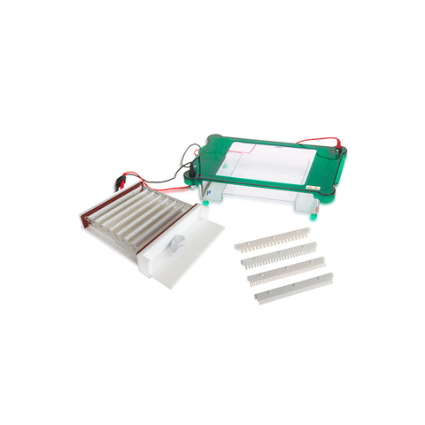 TP-SPHT Système d'électrophorèse de gel horizontal de grande capacité pour la séparation de l'ADN et des protéines