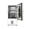Fituez à température ultra-faible –86 ° C, 188L Freinant de laboratoire vertical MDF-86V188E pour le stockage de l'échantillon biologique